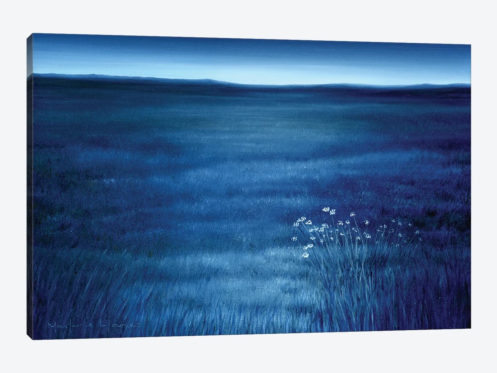 Blue Prairie by Marlene Llanes 1-piece Canvas Wall Art