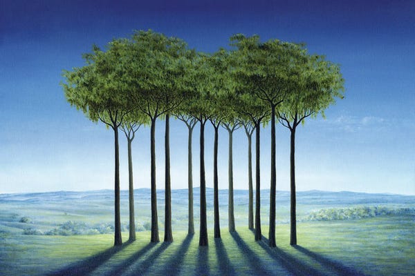 Marlene Llanes: Blinding Light by Marlene Llanes