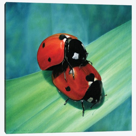 Ladybug Love Canvas Print #MLZ54} by Marlene Llanes Canvas Art