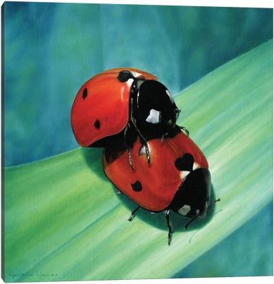 Ladybug Love Canvas Art Print - Marlene Llanes