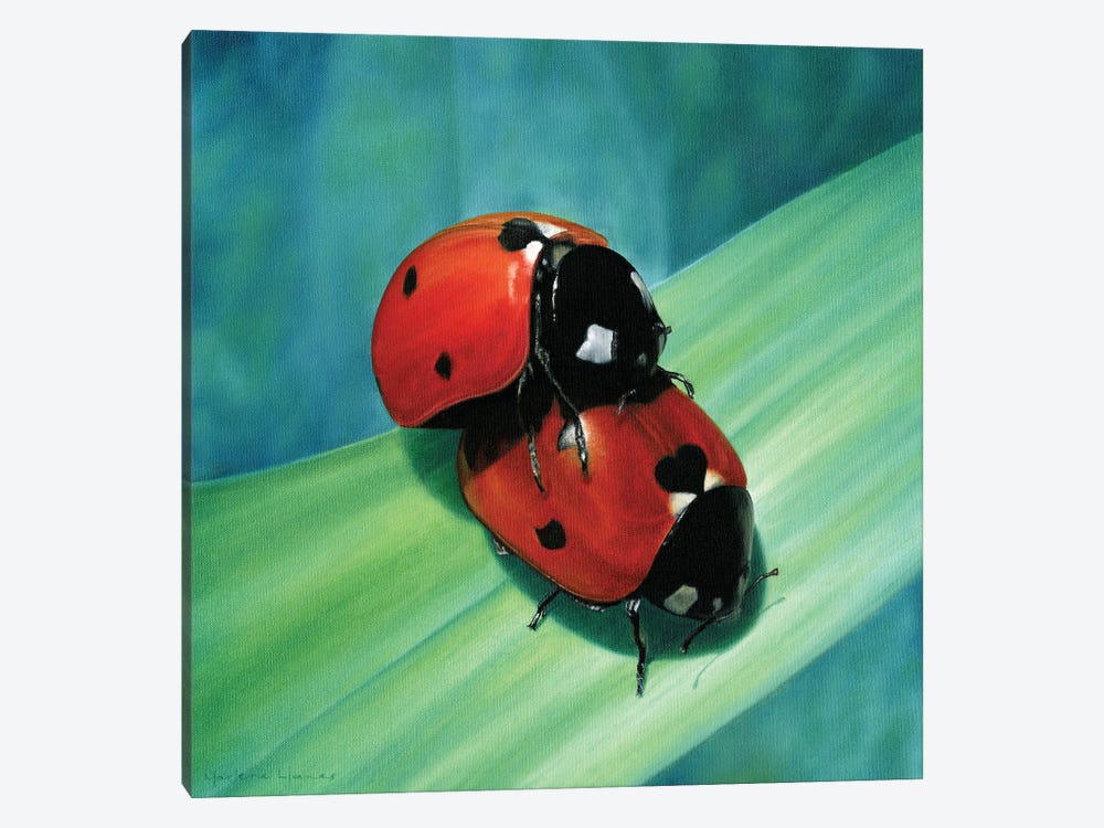 Ladybug Love by Marlene Llanes 1-piece Canvas Artwork