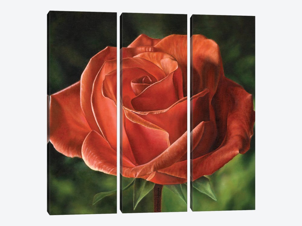 Early Morning Light (Rose) by Marlene Llanes 3-piece Art Print