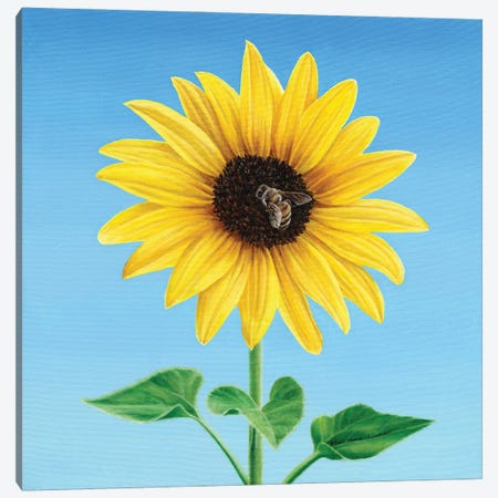 The Sunflower And The Bee Canvas Print #MLZ61} by Marlene Llanes Canvas Wall Art