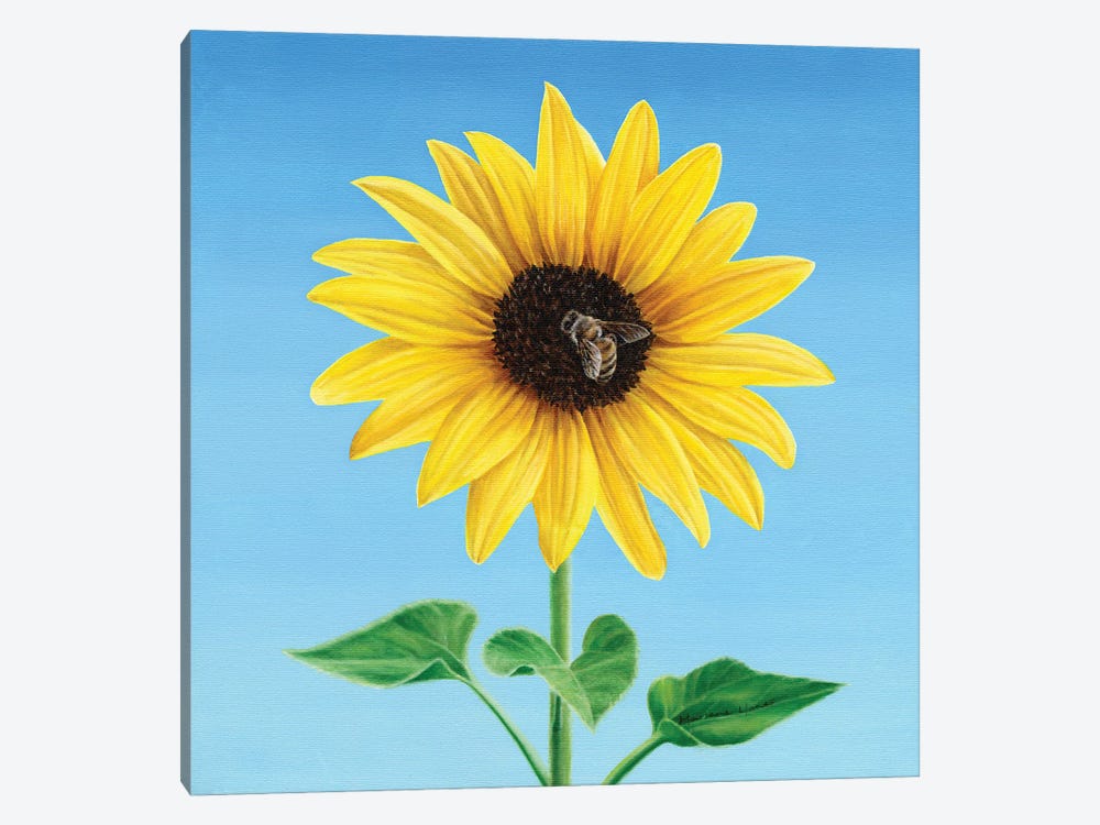 The Sunflower And The Bee by Marlene Llanes 1-piece Canvas Art