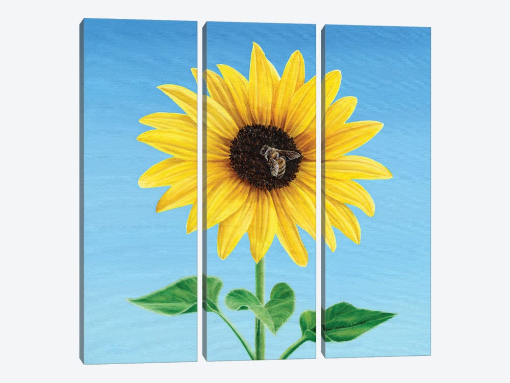 The Sunflower And The Bee by Marlene Llanes 3-piece Canvas Wall Art