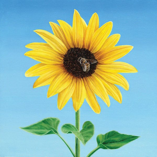 Fine Art Print: The Sunflower And The Bee by Marlene Llanes