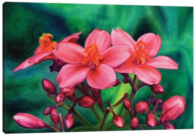 Pink Flowers Canvas Art Print - Blossom Art