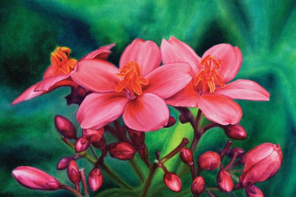 Marlene Llanes: Pink Flowers by Marlene Llanes