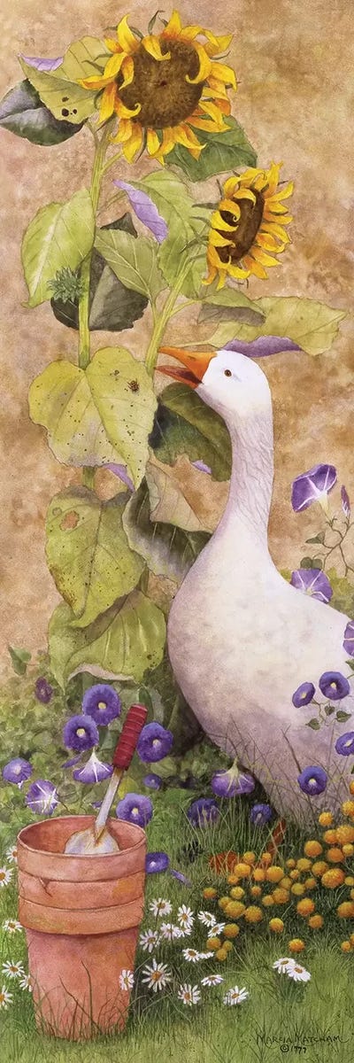 Garden March II by Marcia Matcham canvas print