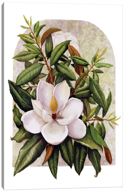 Magnolia Vignette Canvas Art Print - Magnolia Art