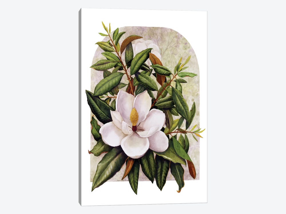 Magnolia Vignette by Marcia Matcham 1-piece Canvas Print