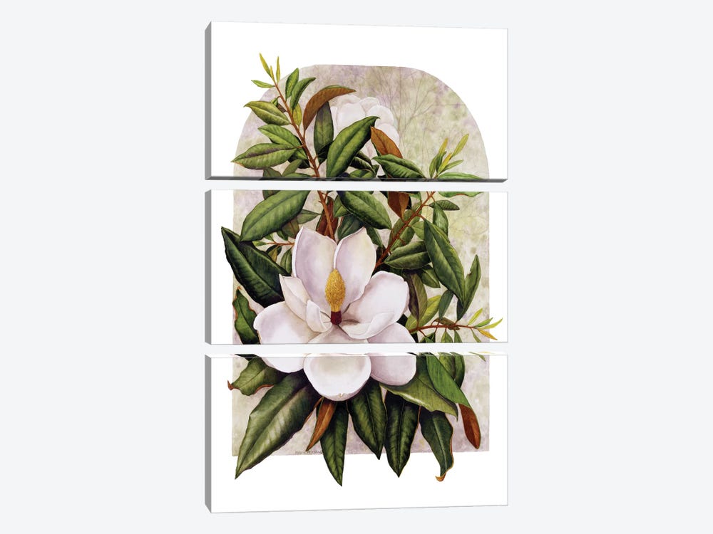 Magnolia Vignette by Marcia Matcham 3-piece Canvas Art Print