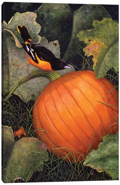 Oriole & Pumpkin Canvas Art Print - Halloween Art