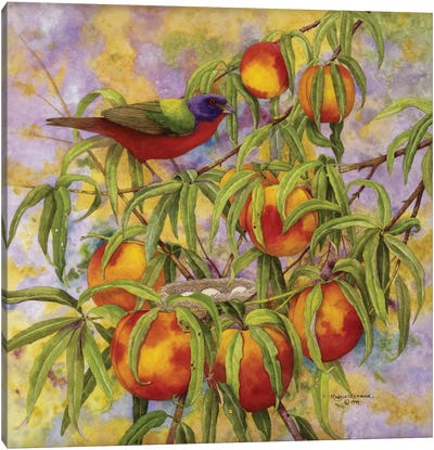 Painted Bunting & Peaches Canvas Art Print - Marcia Matcham