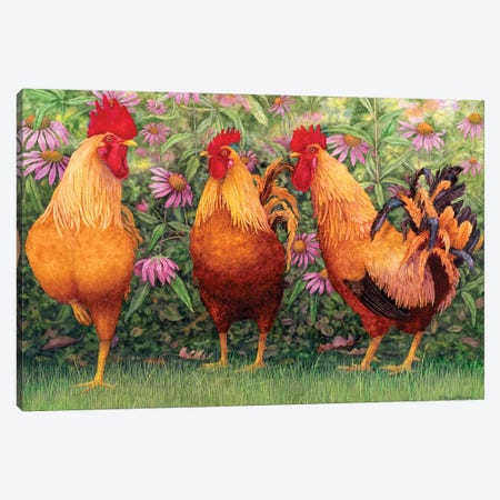Roosters en Place I Canvas Print #MMA25} by Marcia Matcham Canvas Art Print