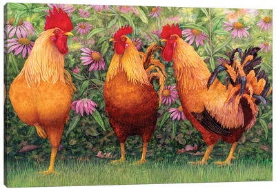 Roosters en Place I Canvas Art Print - Chicken & Rooster Art
