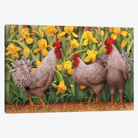 Roosters en Place II Canvas Print #MMA26} by Marcia Matcham Art Print