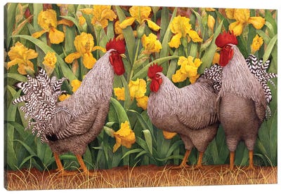 Roosters en Place II Canvas Art Print - Chicken & Rooster Art