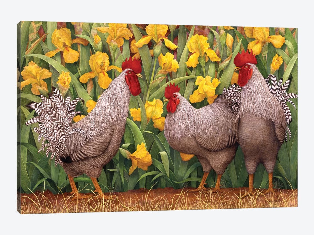 Roosters en Place II by Marcia Matcham 1-piece Canvas Art Print