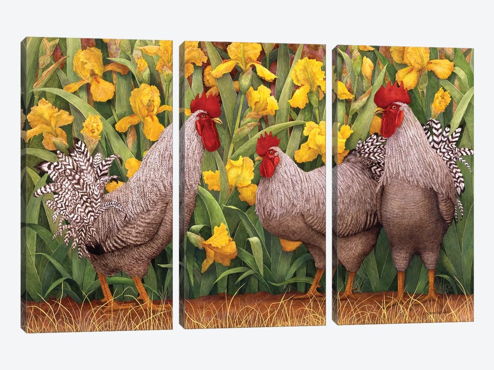 Roosters en Place II by Marcia Matcham 3-piece Canvas Print