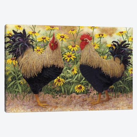 Roosters en Place III Canvas Print #MMA27} by Marcia Matcham Canvas Print