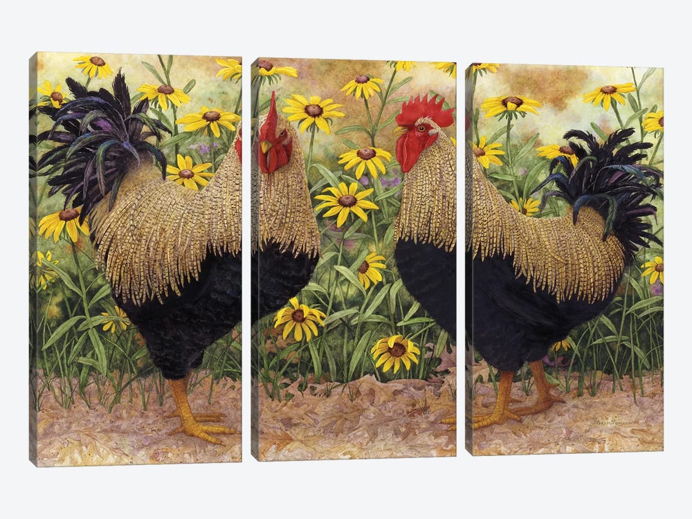 Roosters en Place III by Marcia Matcham 3-piece Canvas Art