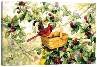 Berry Picker Canvas Art Print - Marcia Matcham