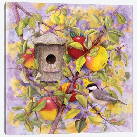Chickadee & Apples Canvas Print #MMA3} by Marcia Matcham Canvas Wall Art