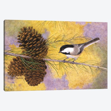 Chickadee In The Pines II Canvas Print #MMA5} by Marcia Matcham Art Print