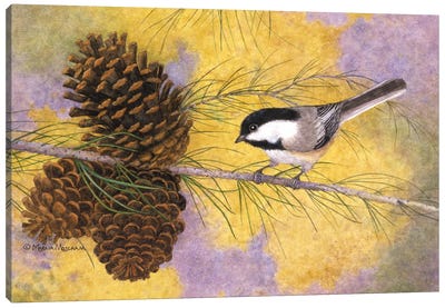 Chickadee In The Pines II Canvas Art Print - Sparrows