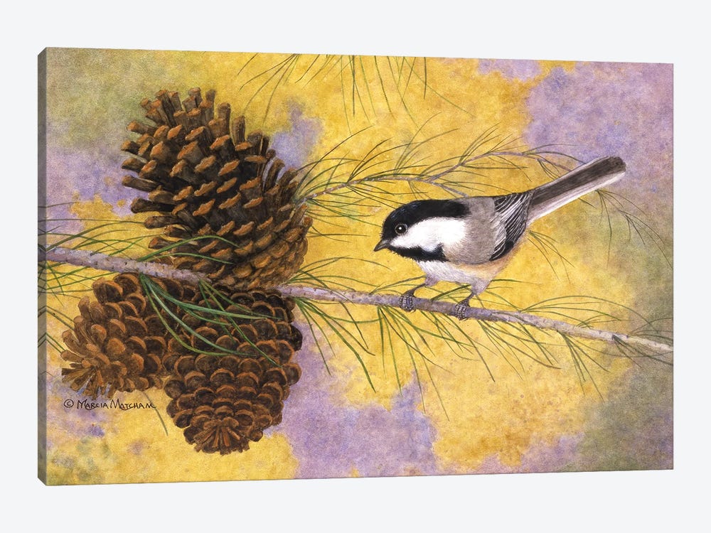 Chickadee In The Pines II 1-piece Canvas Print