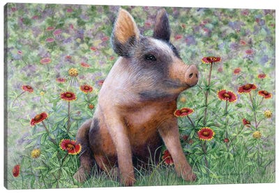 Flower Girl Canvas Art Print - Pig Art