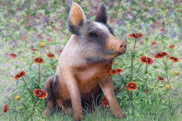 Pigs: Flower Girl by Marcia Matcham