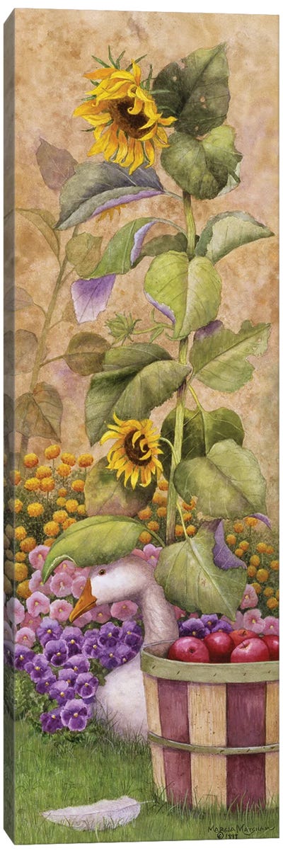 Garden March I Canvas Art Print - Marcia Matcham