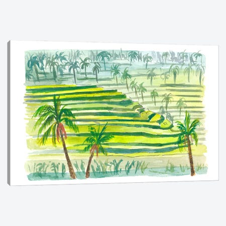Picturesque Green Bali Rice Terraces Canvas Print #MMB1014} by Markus & Martina Bleichner Canvas Artwork