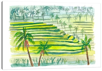 Picturesque Green Bali Rice Terraces Canvas Art Print - Tropical Décor