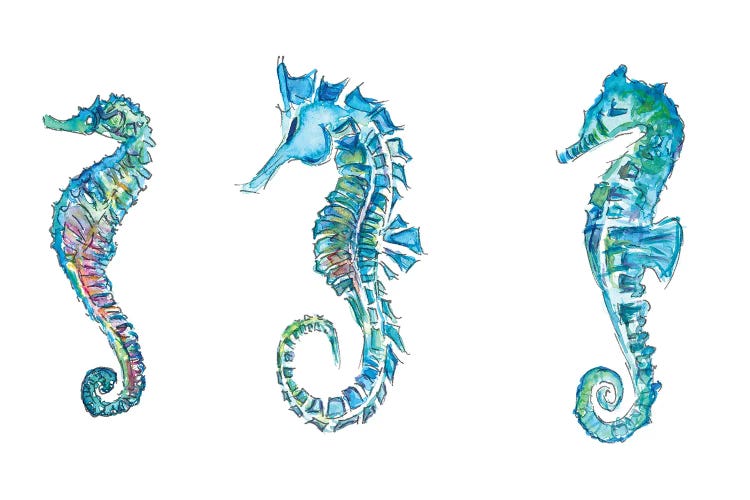 Seahorses Trio In Colorful Hippocampus Style