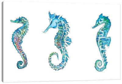 Seahorses Trio In Colorful Hippocampus Style Canvas Art Print - Seahorse Art