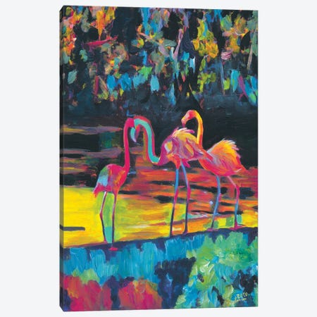Flamingos In Impressionist Expressionist Phoenicopterus Roseus Style Canvas Print #MMB358} by Markus & Martina Bleichner Art Print