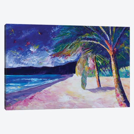 Colorful Caribbean Dream Beach Island Bay Canvas Print #MMB399} by Markus & Martina Bleichner Art Print