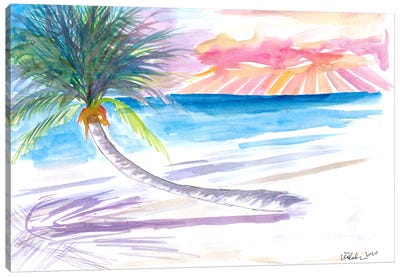 Leaning Palm For Relaxing On Tortola British Virgin Islands Canvas Art Print - Markus & Martina Bleichner