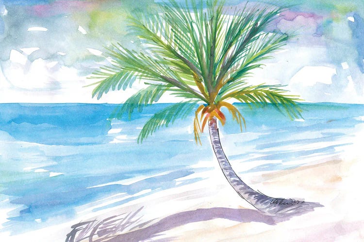 Big Palm For Dreaming Away On A White Caribbean Beach