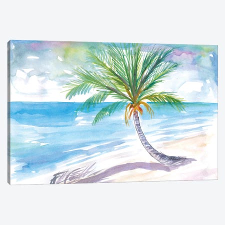 Big Palm For Dreaming Away On A White Caribbean Beach Canvas Print #MMB448} by Markus & Martina Bleichner Canvas Art Print