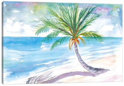 Big Palm For Dreaming Away On A White Caribbean Beach Canvas Art Print - Markus & Martina Bleichner