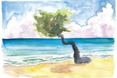 Tropical Eagle Beach In Aruba Dutch Caribbean by Markus & Martina Bleichner art print