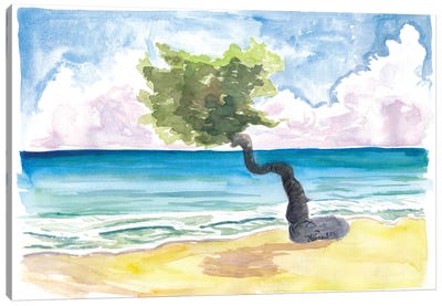 Tropical Eagle Beach In Aruba Dutch Caribbean Canvas Art Print - Tropical Beach Art