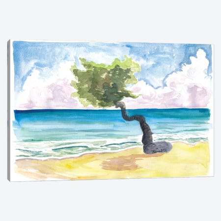 Tropical Eagle Beach In Aruba Dutch Caribbean Canvas Print #MMB533} by Markus & Martina Bleichner Canvas Art Print
