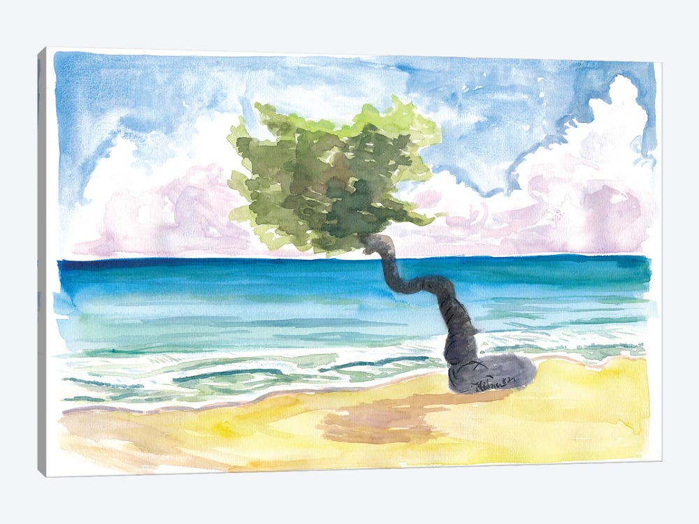 Tropical Eagle Beach In Aruba Dutch Caribbean by Markus & Martina Bleichner 1-piece Art Print