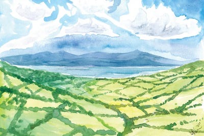 Green Ireland View Of Meadows And Sea Ring Of Kerry by Markus & Martina Bleichner canvas print