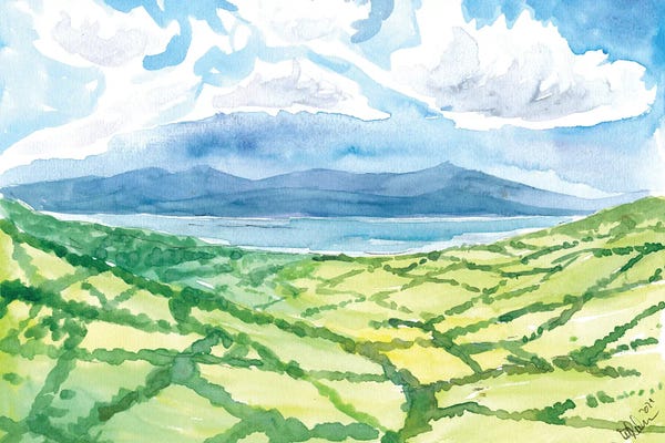 Kerry: Green Ireland View Of Meadows And Sea Ring Of Kerry by Markus & Martina Bleichner